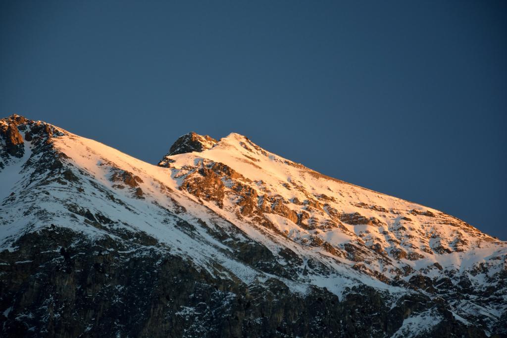 Ferienwohnungen Chesa Clois 24 Lenzerheide/Lai Exterior foto